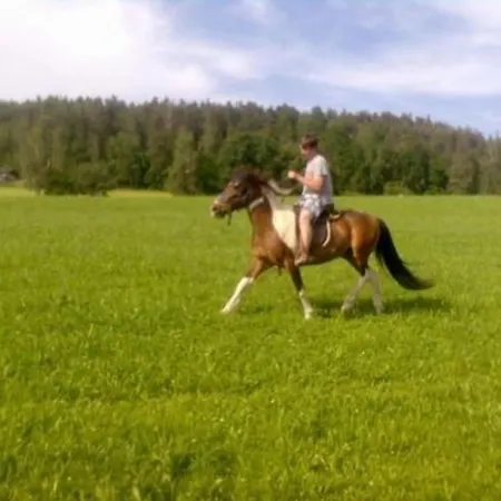 Mit Eintritt In Bade Und Saunawelt
